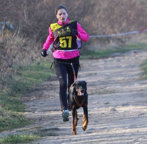 des Marais de Saint-Gratien - Canicross: première course d'Hawaii!