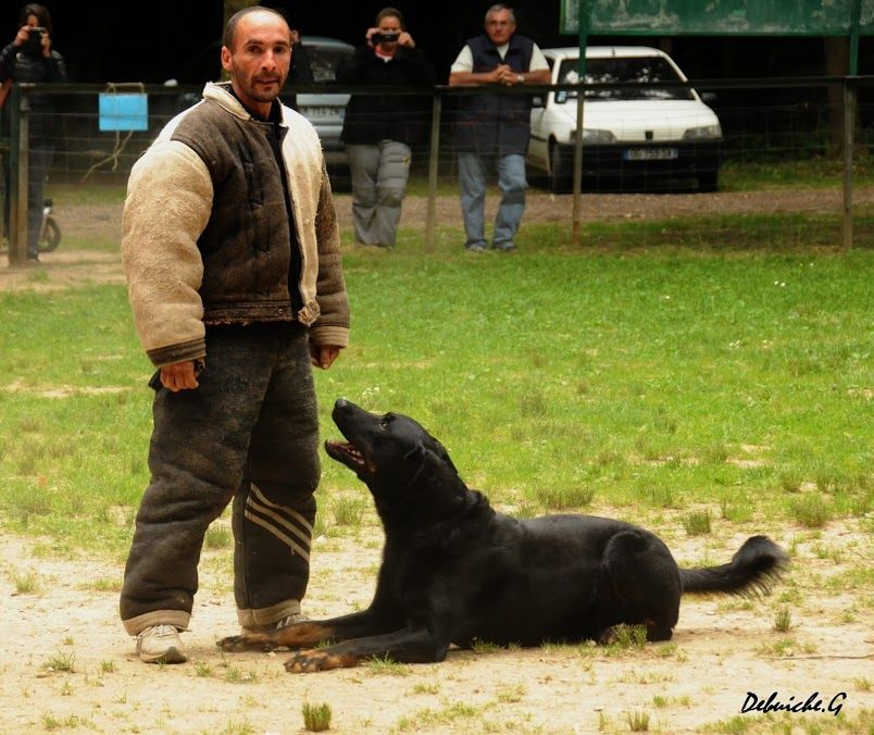 des Marais de Saint-Gratien - Ring: Honil valide son Ring 1 à Ons-en-Bray