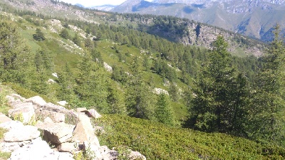 de bastide Coulomb - Concours de montagne en Italie