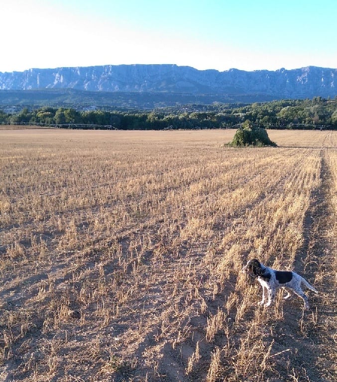 Magnifique Sainte Victoire