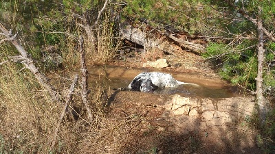 de bastide Coulomb - Bain de pieds...