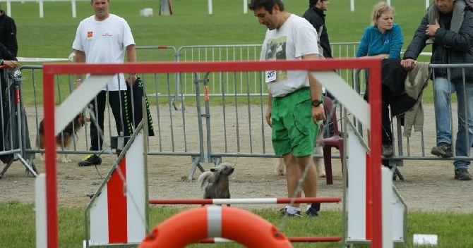 du domaine de Cha Su Bao - Agility Avril 2014