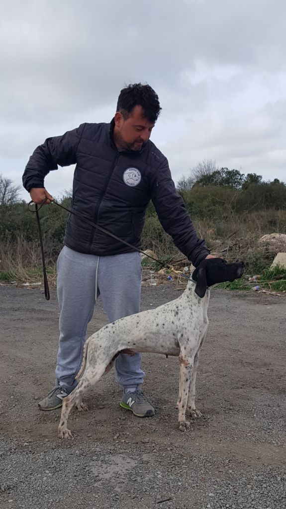 des conquérants d'Oc - MARCHENA