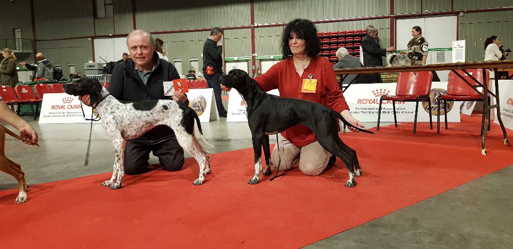 des conquérants d'Oc - Expo Internationale Beauté