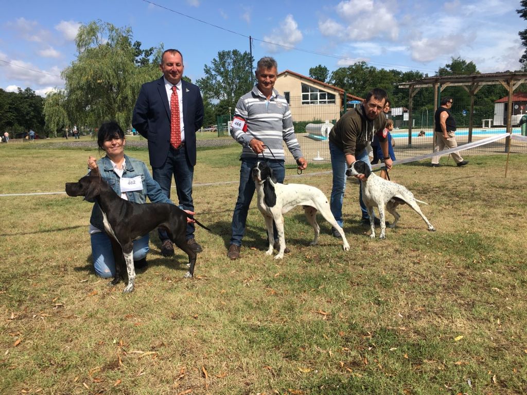 des conquérants d'Oc - Spéciale Pointer BRIVES CHARENSAC (43)