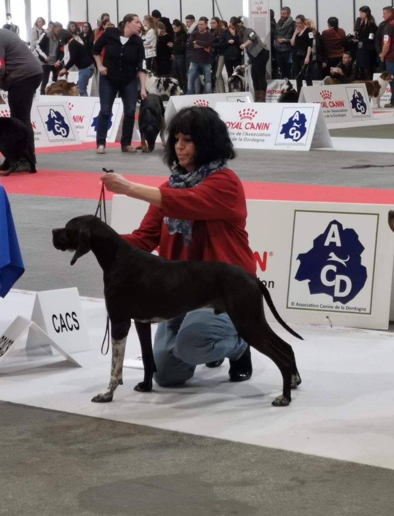 des conquérants d'Oc - Exposition Internationale de PERIGUEUX