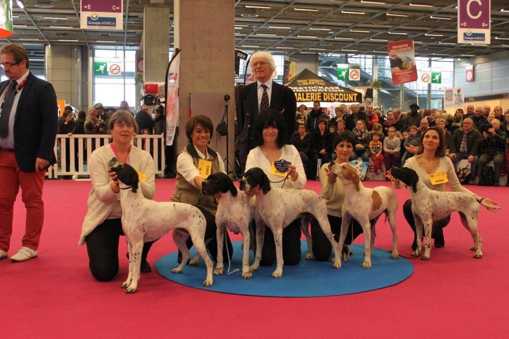 des conquérants d'Oc - Retour du Salon .....