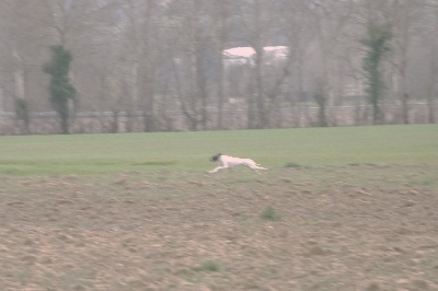 des conquérants d'Oc - Le Printemps des Conquérants....