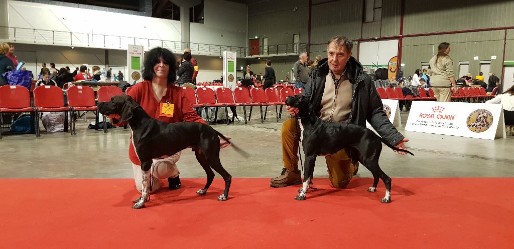 des conquérants d'Oc - Exposition Internationale Beauté MARTIGUES