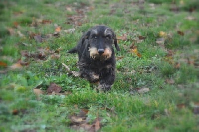 Les bébés de Dolce et Achille