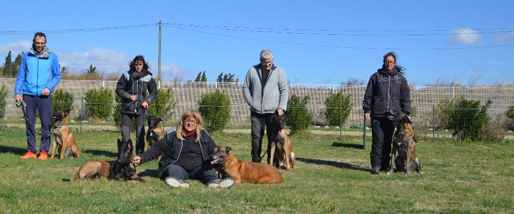 des vignes du Roussillon - Les chiots femelles à 6 mois