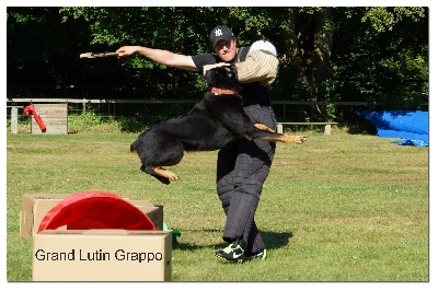 Grand Lutin - Grappo RCI