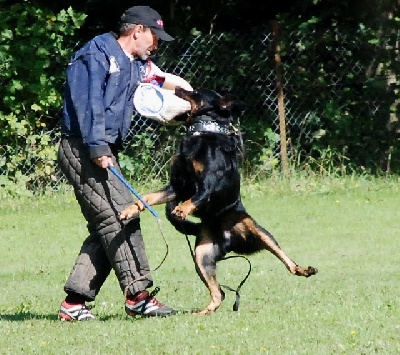 Grand Lutin - Weekend entrainement RCI