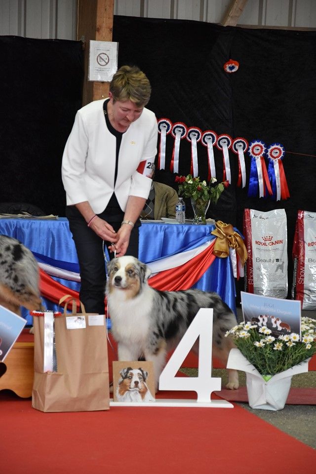 des rêves d'opaline - Nationale d'élevage - Cerilly 2019