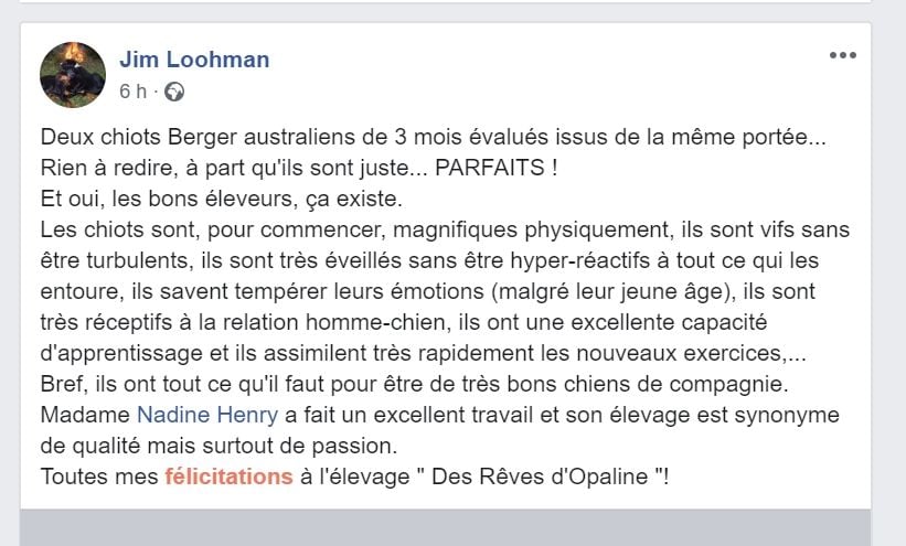 des rêves d'opaline - des bébés chiens au top !