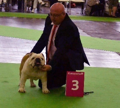 du temple des Bulldogs - ASTON 3 eme EXCELLENT a la  MONDIALE