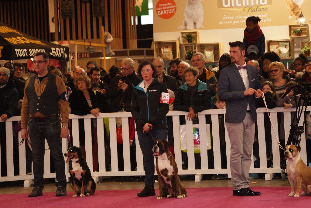 Salon de l'agriculture 2018 sélectionner