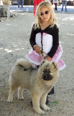 de l'Odyssée des Muses - Fête du Chien à St Martin de Valgalgues