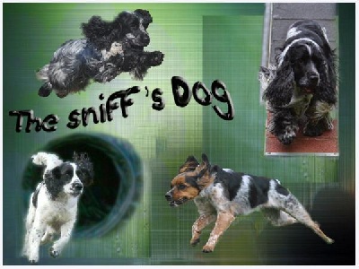 of Artemis´s Instincts - Sniff's Dog