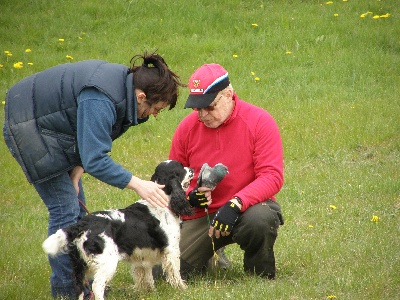 of Artemis´s Instincts - Entrainement de chasse avec CUCC