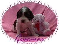 Guinevere Ella