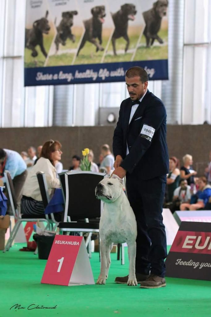 World Dog Show 2018