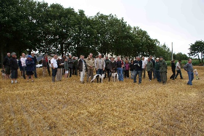 des Hermines d'Armor - TAN POINTER en BRETAGNE 2011