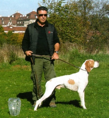 des Hermines d'Armor - Résultats Championnat d'europe chasse pratique 2011