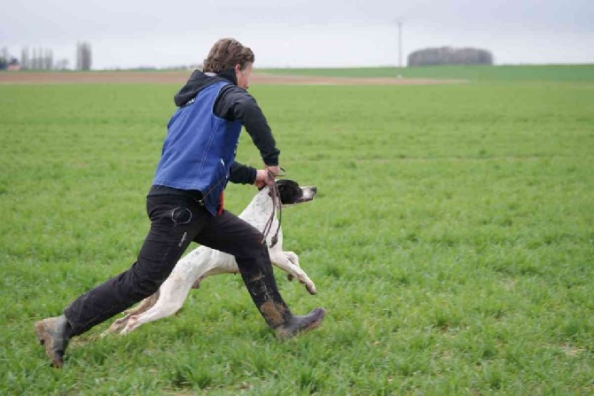 des Hermines d'Armor - Photos des Fields de PRINTEMPS 2014