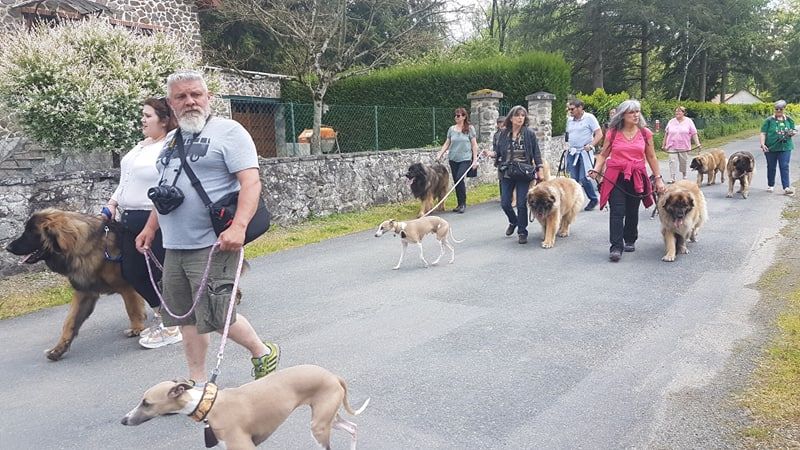 des Géants de l'Ange Blanc - Rassemblement des Géants de l'Ange Blanc