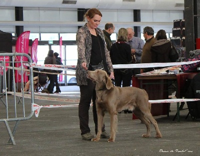 des sources de Gan de Loup - D-DAY, Expo de Bordeaux 2014