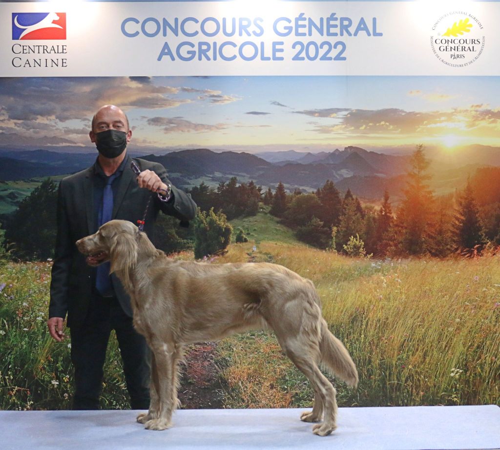 SIA 2022 Concours général Agricole