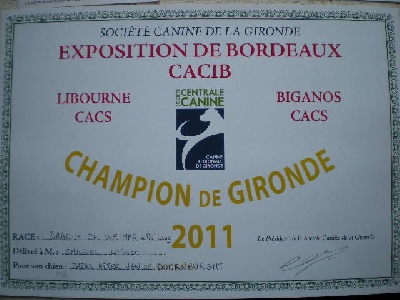 des sources de Gan de Loup - AFTER Championne de Gironde 2011