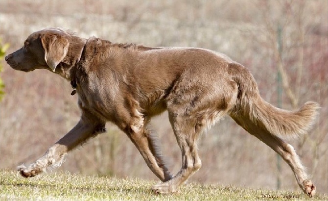 des sources de Gan de Loup - L'Excellent D-DAY des Sources de Gan de Loup