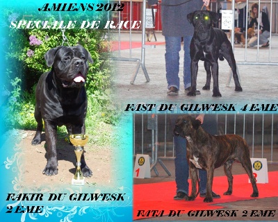 du Gilwesk -  excellent resultats speciale de race amiens 2012