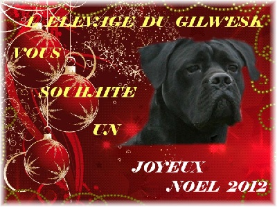 du Gilwesk - Joyeux Noel  !!!!!!!!!!!