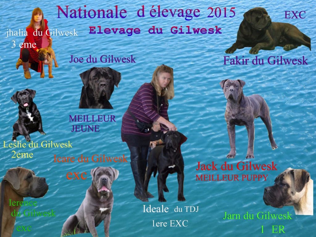 du Gilwesk - carton plein Nationale d Elevage  2015