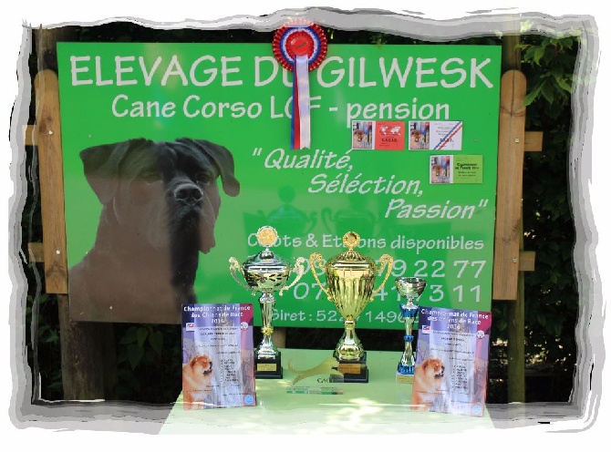 du Gilwesk - les Gilwesk a l honneur  CH DE FRANCE  2016