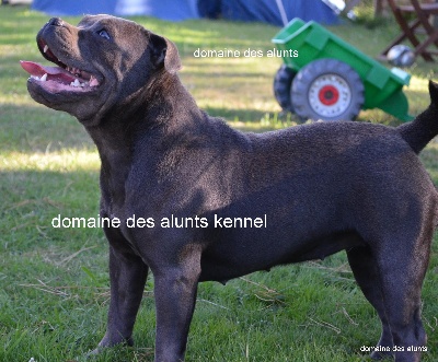 du domaine des Alunts - great et dog save the blue un an!