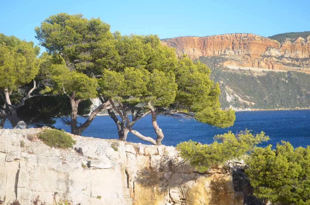 du domaine des Alunts - merci pour ces beaux moments dans le sud  !