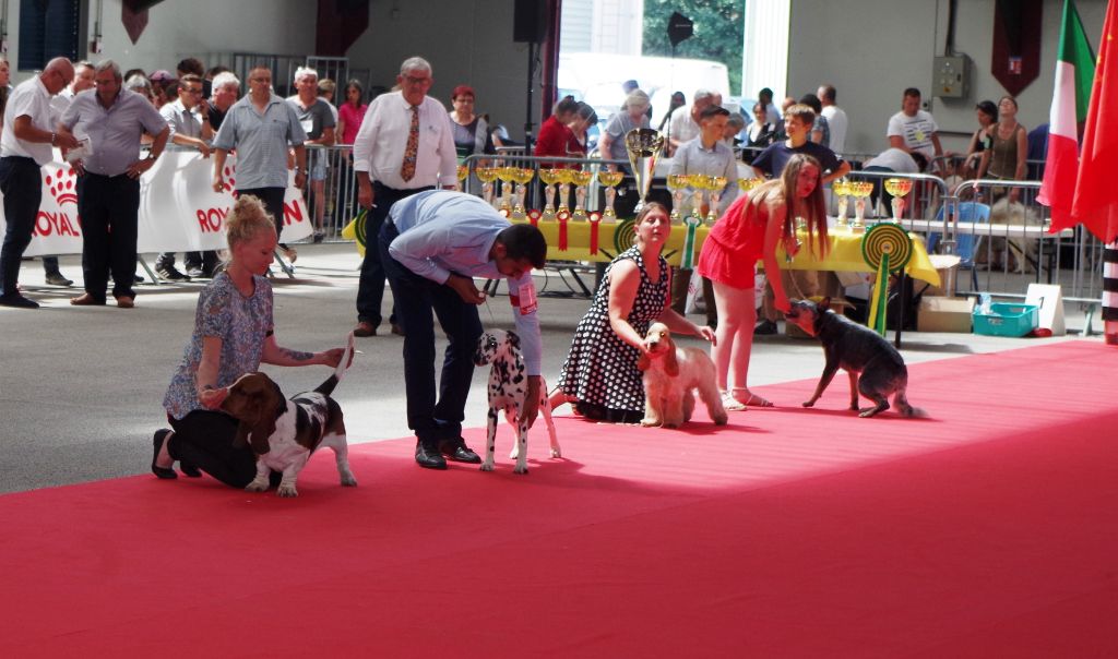 ar Sterenn Gwen - Deuxième expo pour Oberyn