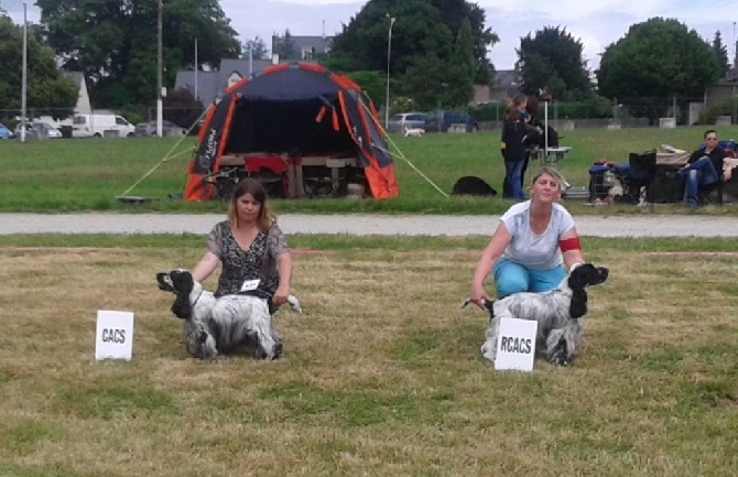 ar Sterenn Gwen - expo de Chateaubriant