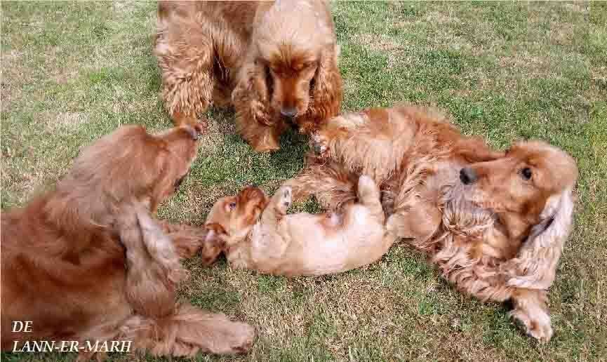 de Lann-er-Marh - En famille