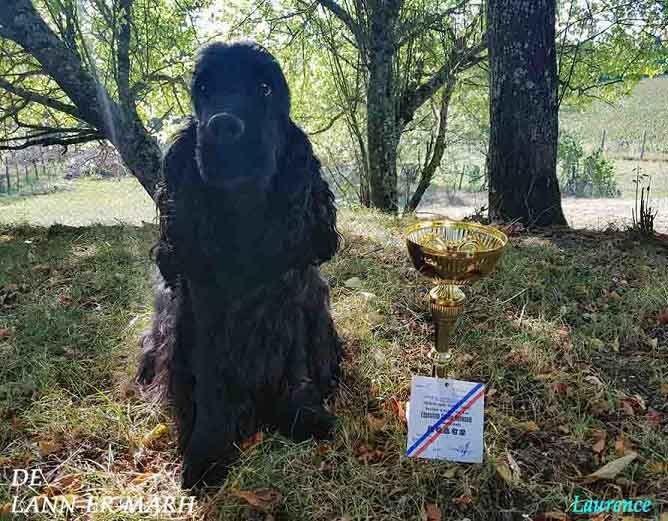 de Lann-er-Marh - Première participation de Jildun à une exposition canine.