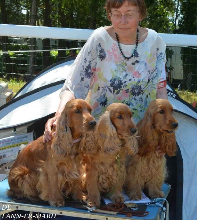 de Lann-er-Marh - Exposition Nationale Canine de PONTIVY