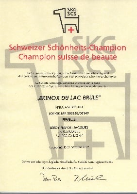 du Lac Brûlé - Championne Suisse