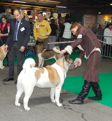 du Lac Brûlé - Cacib Montluçon 2012