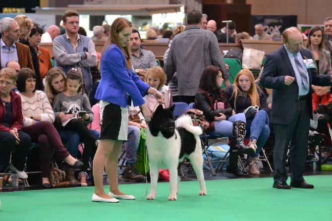 du Lac Brûlé - Scrat participe à Crufts 2015 !