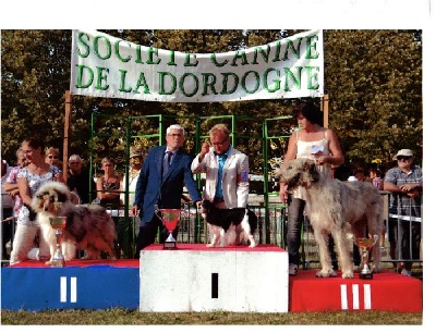 des Bulgarians - Jaimie, best in show jeune à Sorges