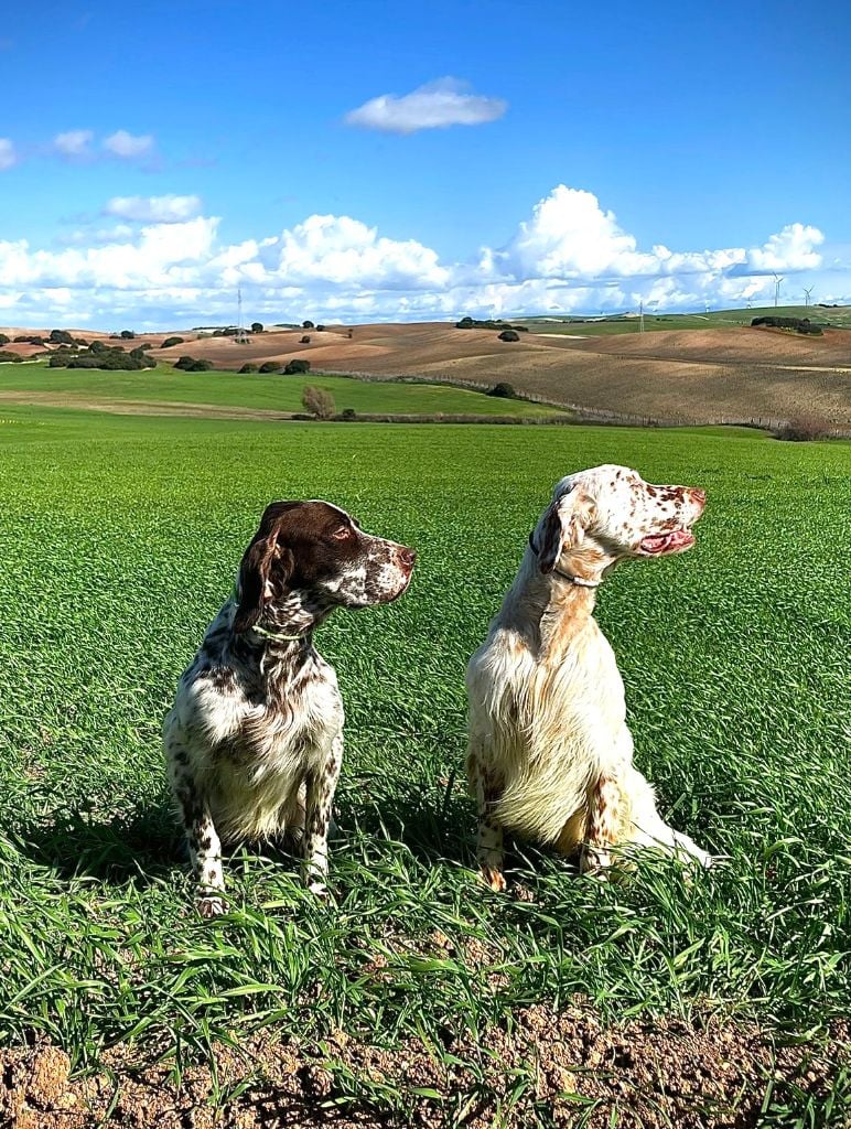 du Parc des Chaumes - Palmarès Printemps 2023